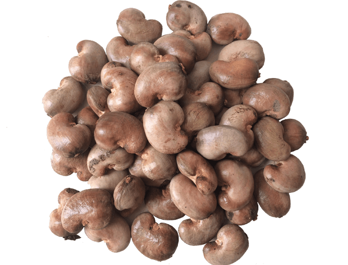 Cashew nut