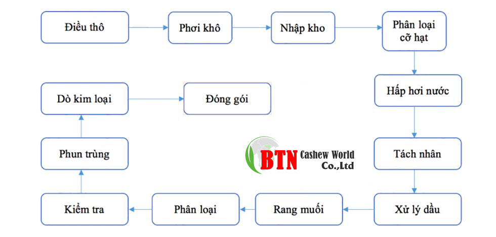 Sơ đồ chế biến Hạt Điều