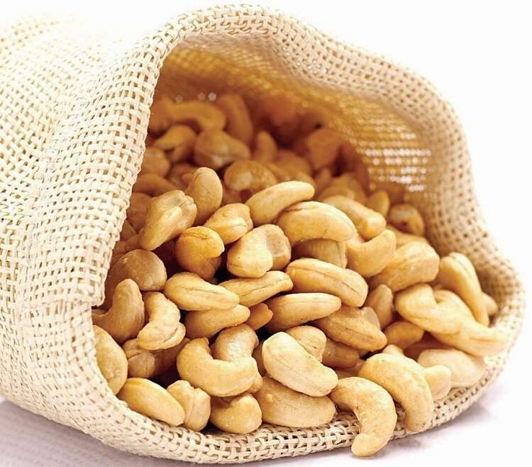Good news for Vietnam’s cashew industry