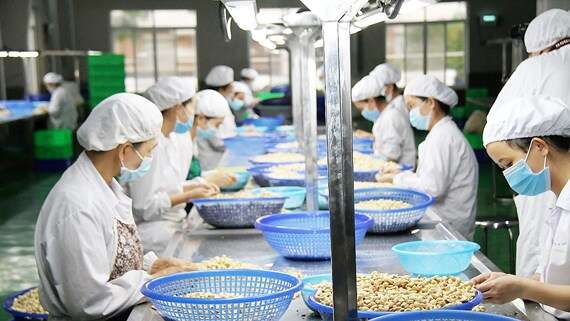 Production Process